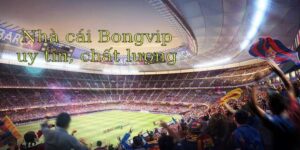 Phương Pháp Đọc Chỉ Số Trận Đấu Hiệu Quả Khi Cược BONGVIP